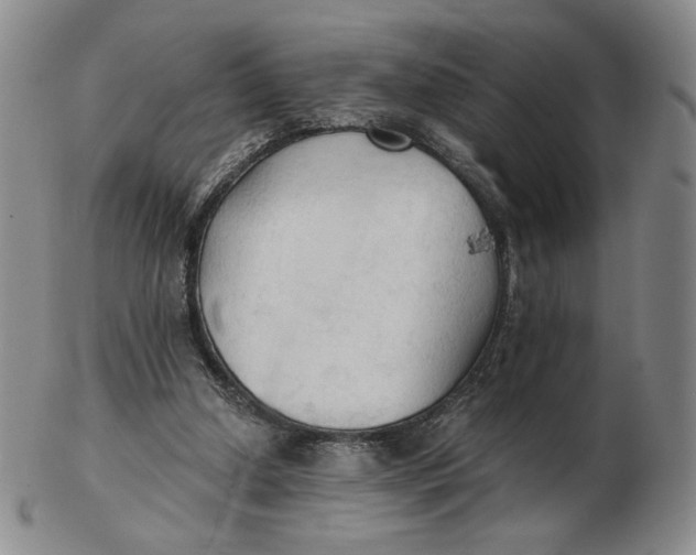X0000103130250200809121738