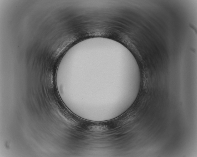 X0000103130251200809121738