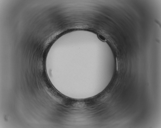 X0000103130252200809121738