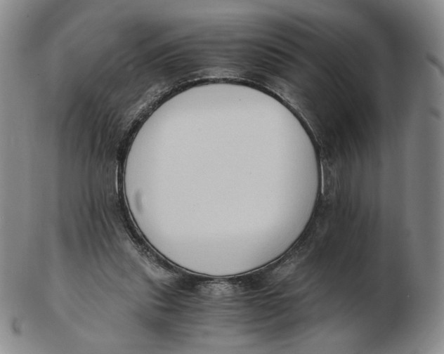 X0000103130253200809121738