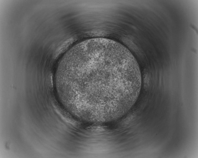 X0000103130254200809121738