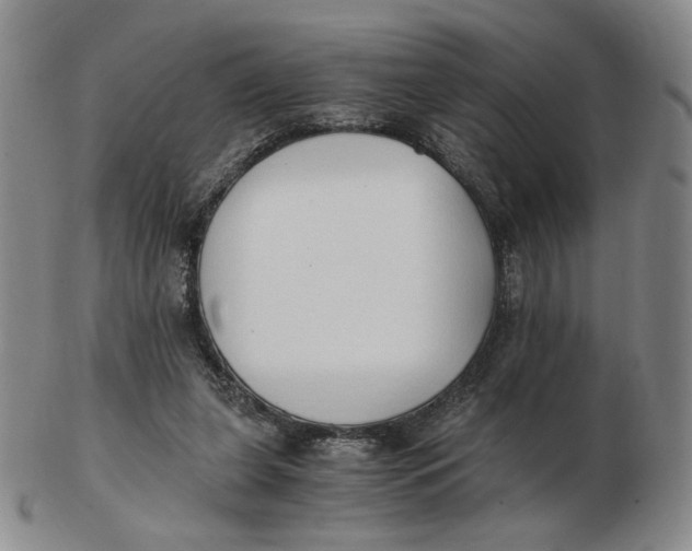 X0000103130255200809121738