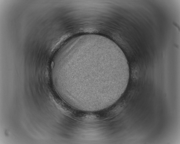 X0000103130256200809121738