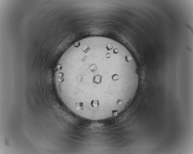 X0000103130257200809121738
