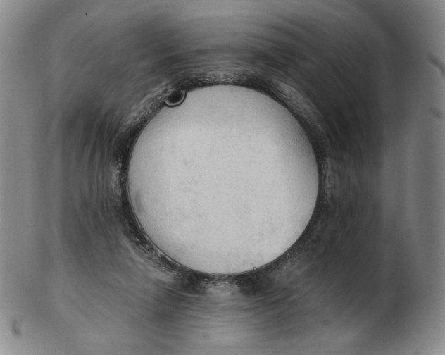 X0000103130258200809121738