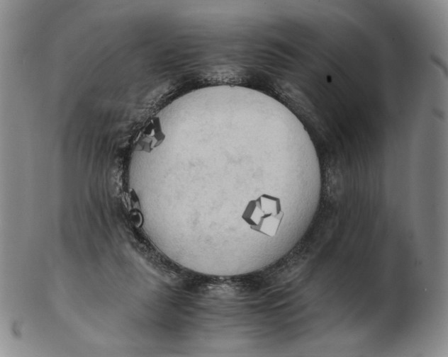 X0000103130259200809121738