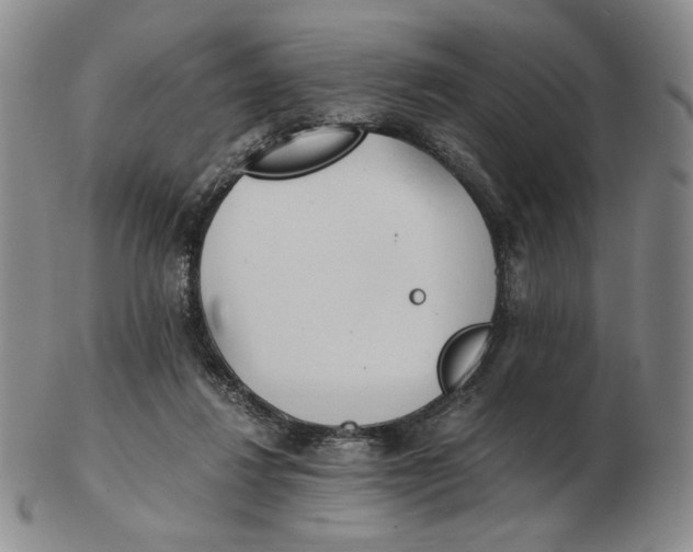 X0000103130260200809121738