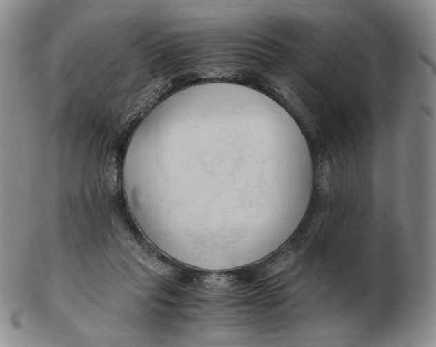 X0000103130261200809121738
