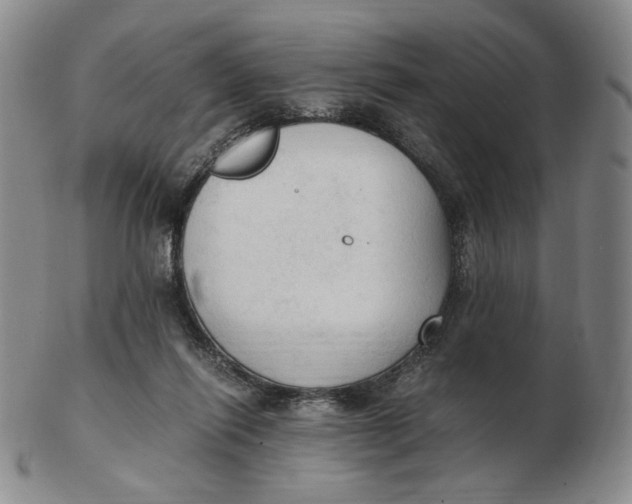 X0000103130262200809121738