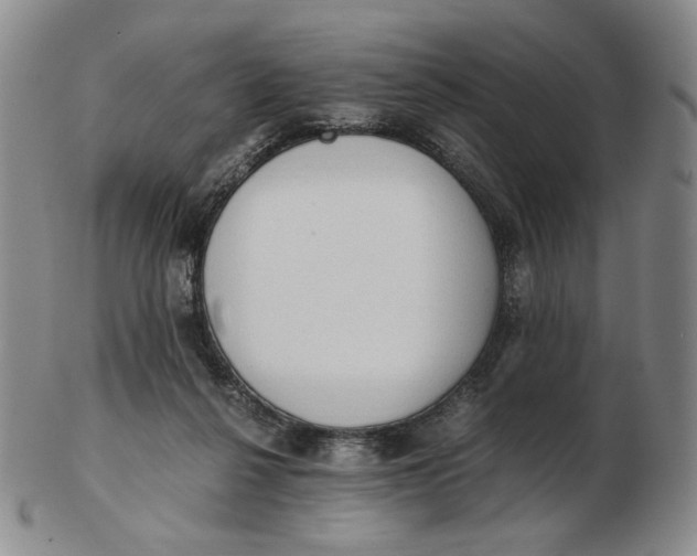 X0000103130264200809121738
