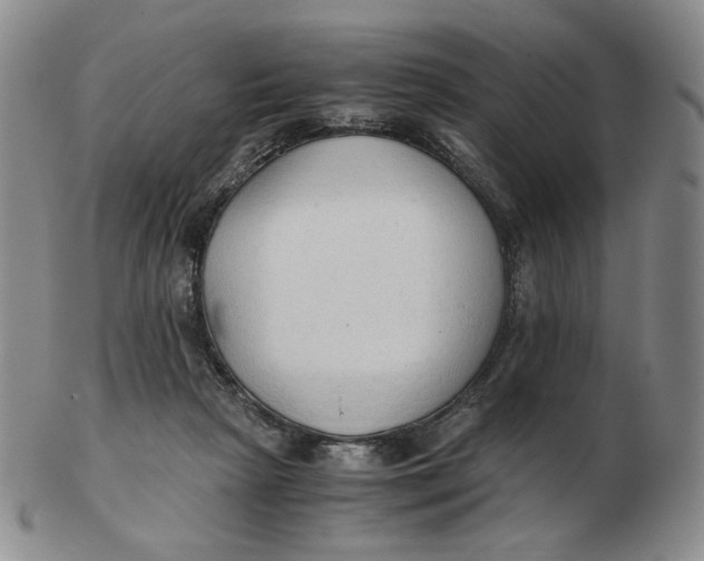 X0000103130265200809121738