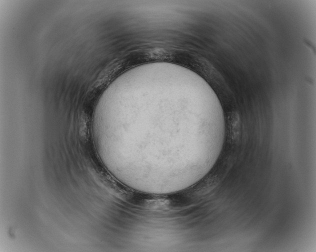 X0000103130266200809121738