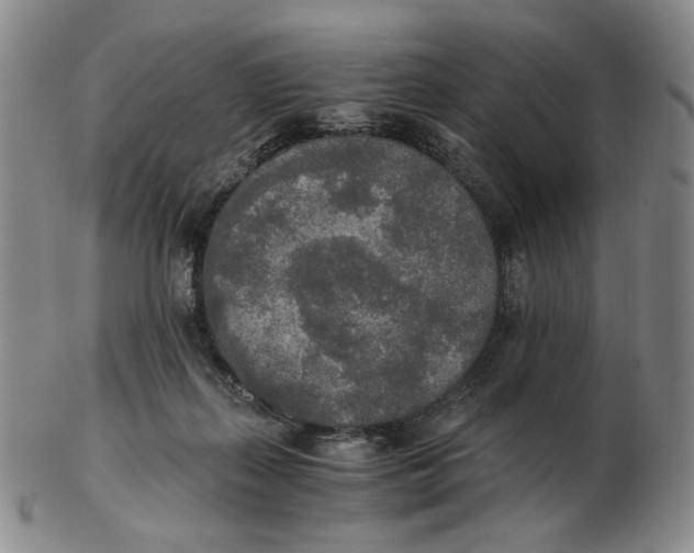 X0000103130267200809121738