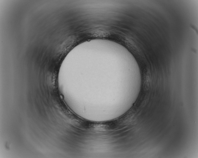 X0000103130268200809121738
