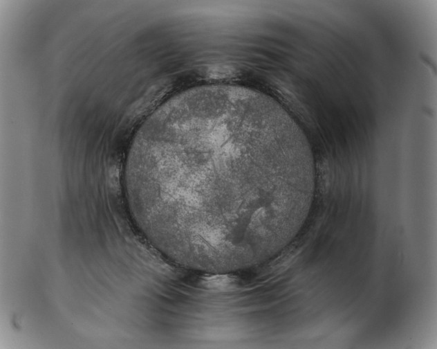 X0000103130269200809121738