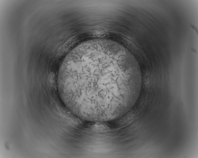 X0000103130270200809121738