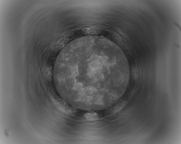 X0000103130271200809121738