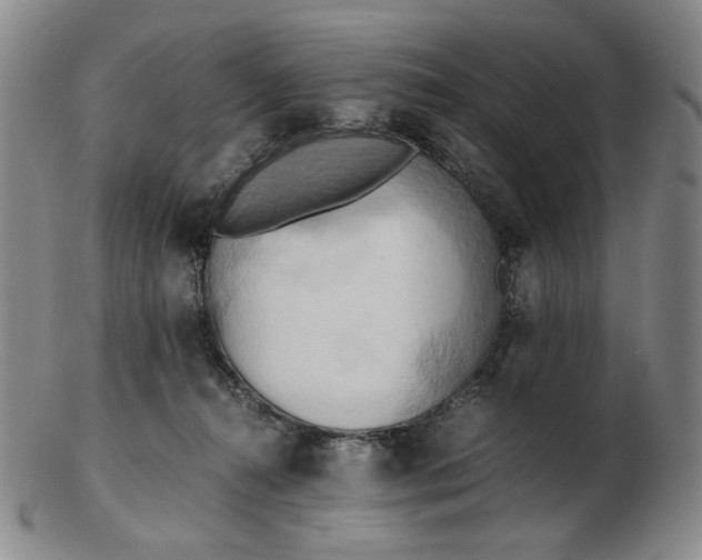X0000103130272200809121738