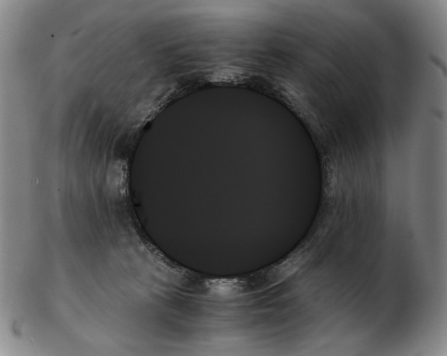 X0000103130273200809121738