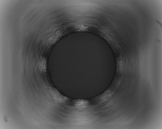 X0000103130274200809121738