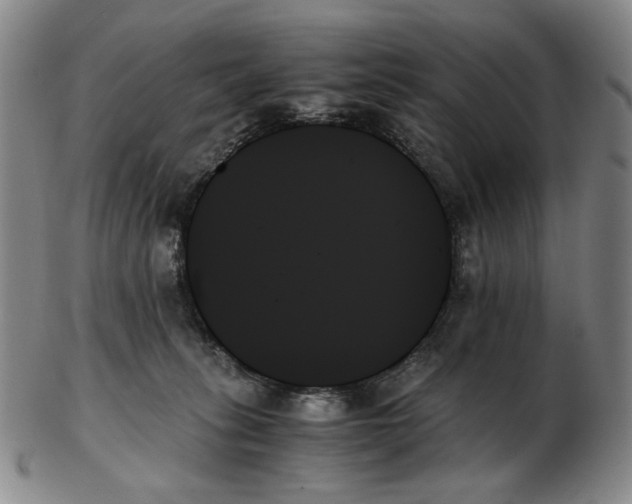 X0000103130275200809121738
