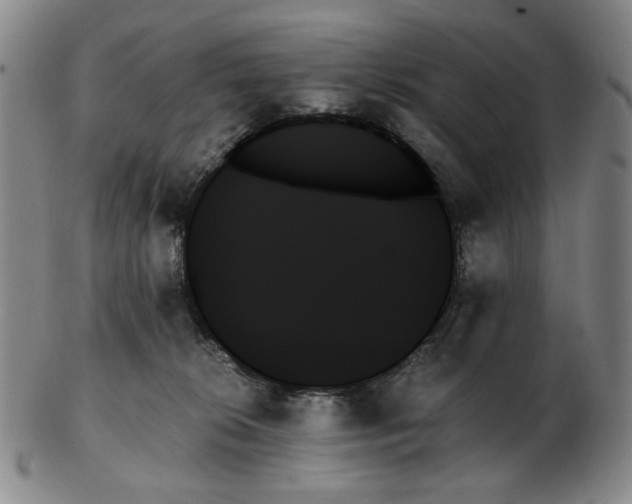 X0000103130276200809121738