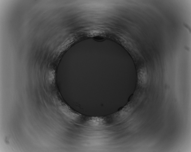X0000103130278200809121738