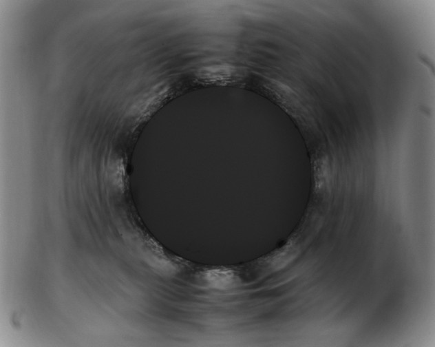 X0000103130279200809121738