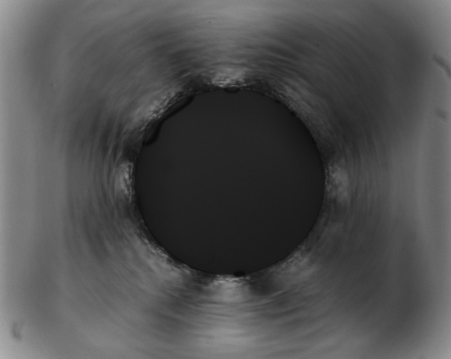 X0000103130280200809121738