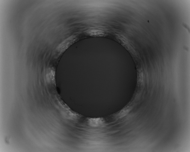 X0000103130281200809121738