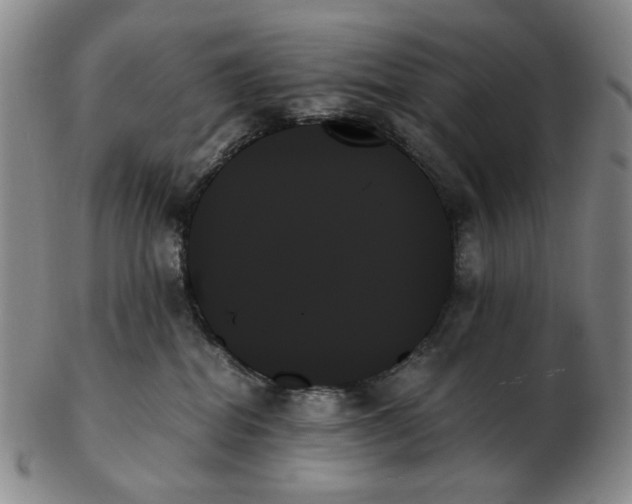 X0000103130282200809121738