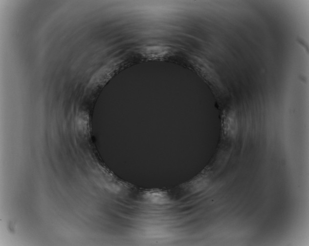 X0000103130283200809121738