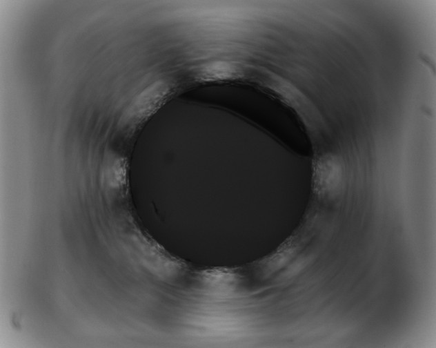 X0000103130284200809121738