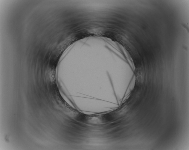 X0000103130285200809121738