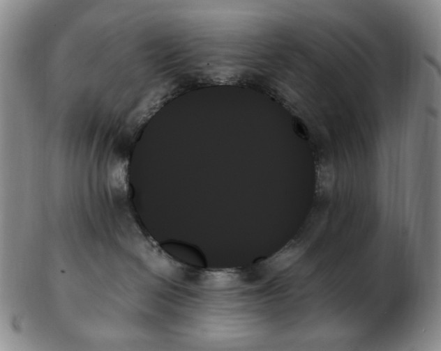 X0000103130286200809121738