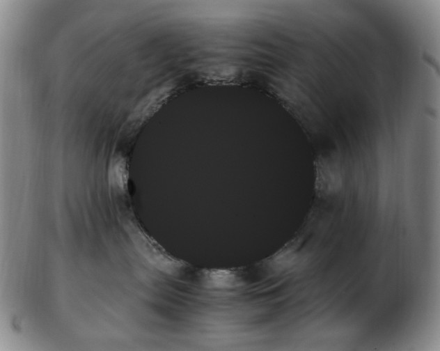 X0000103130287200809121738