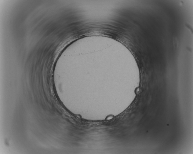 X0000103130289200809121738