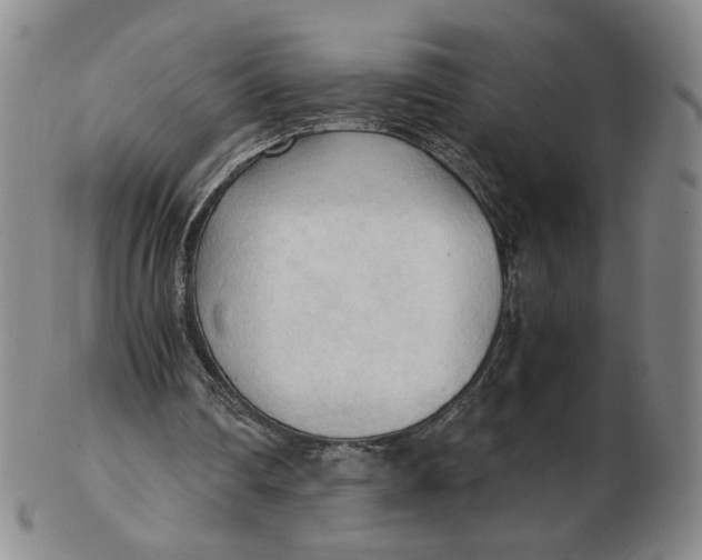 X0000103130290200809121738