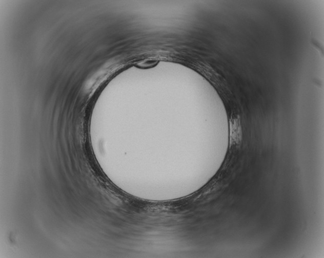 X0000103130291200809121738