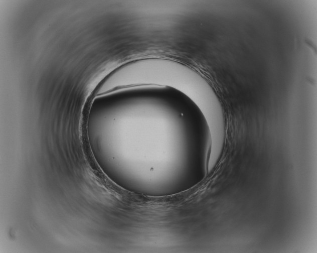 X0000103130292200809121738