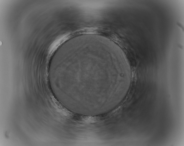 X0000103130293200809121738