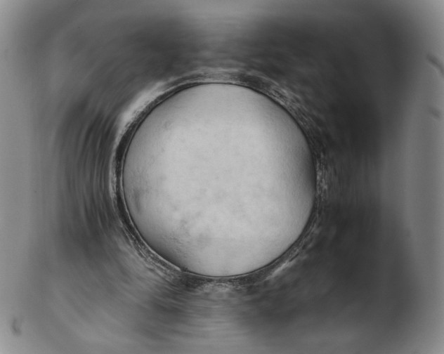 X0000103130294200809121738