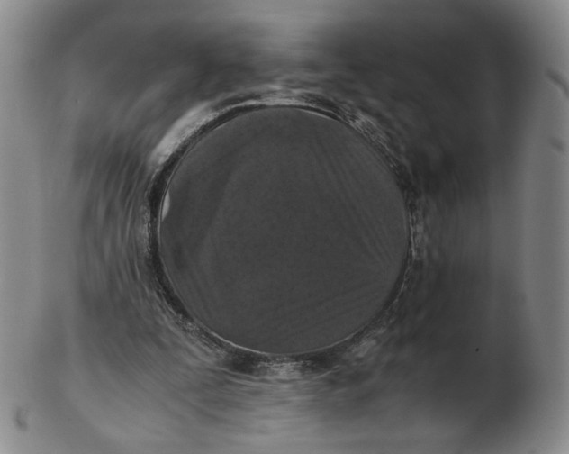 X0000103130295200809121738