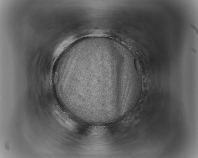 X0000103130296200809121738
