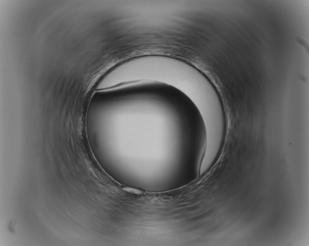 X0000103130297200809121738