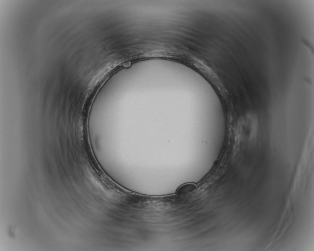 X0000103130298200809121738