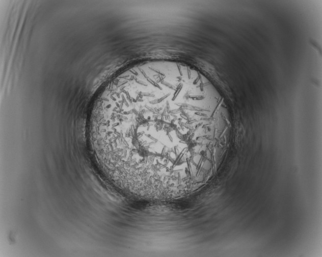 X0000103130299200809121738