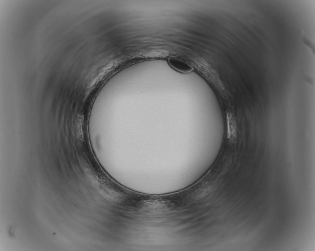 X0000103130300200809121738
