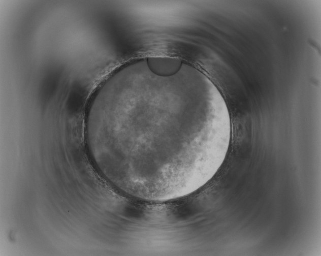 X0000103130301200809121738