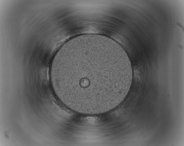 X0000103130302200809121738